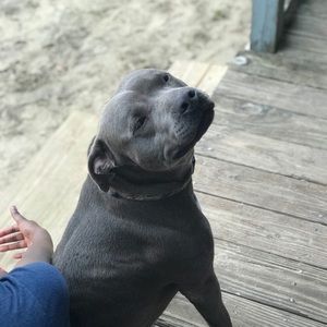 Meet your Posher, Vashara